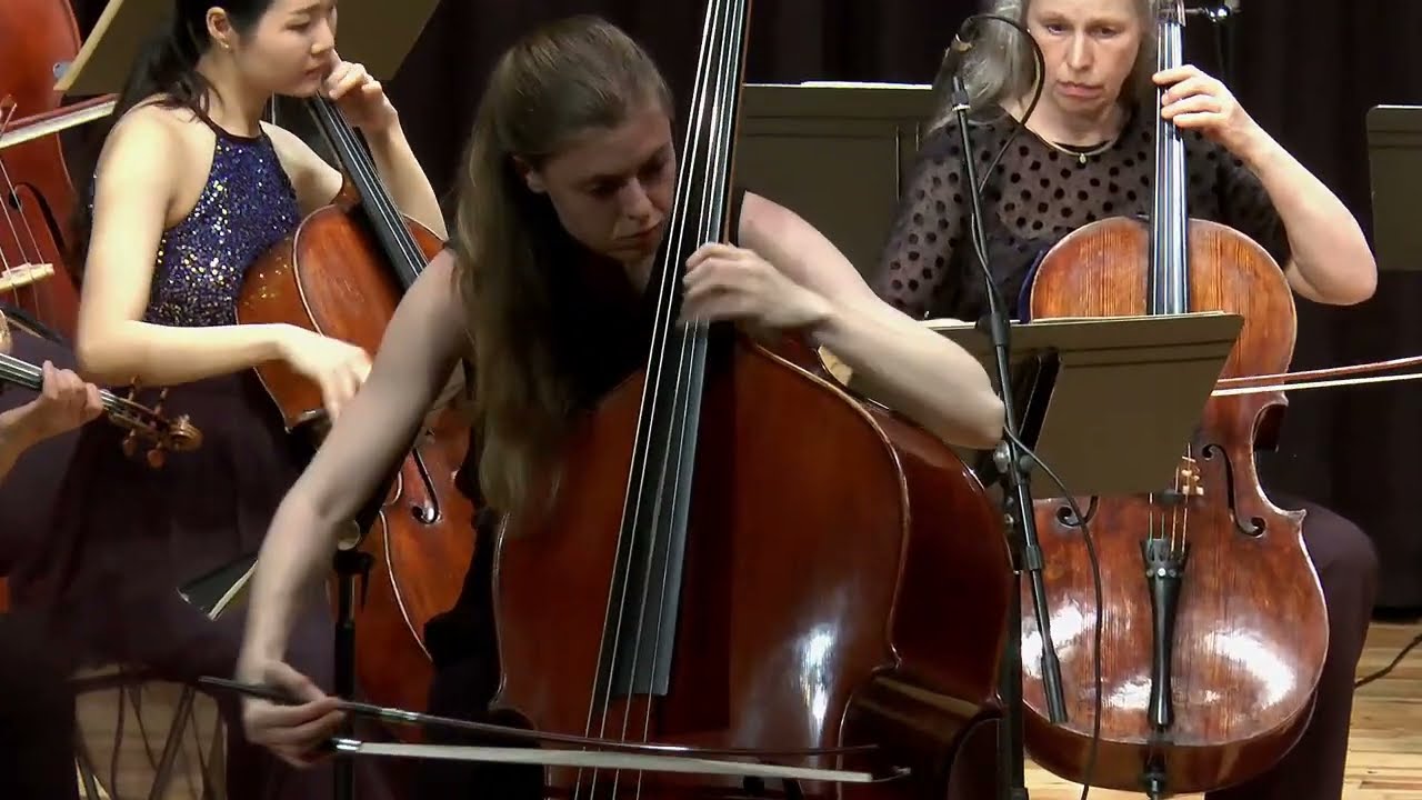 Giovanni Bottesini: Konzert für Kontrabass und Orchester Nr. 2 h-moll | Stefania Secci
