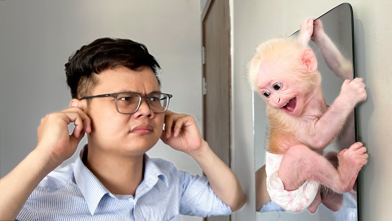 Monkey Baby Molly makes trouble when Dad's Brother goes to work
