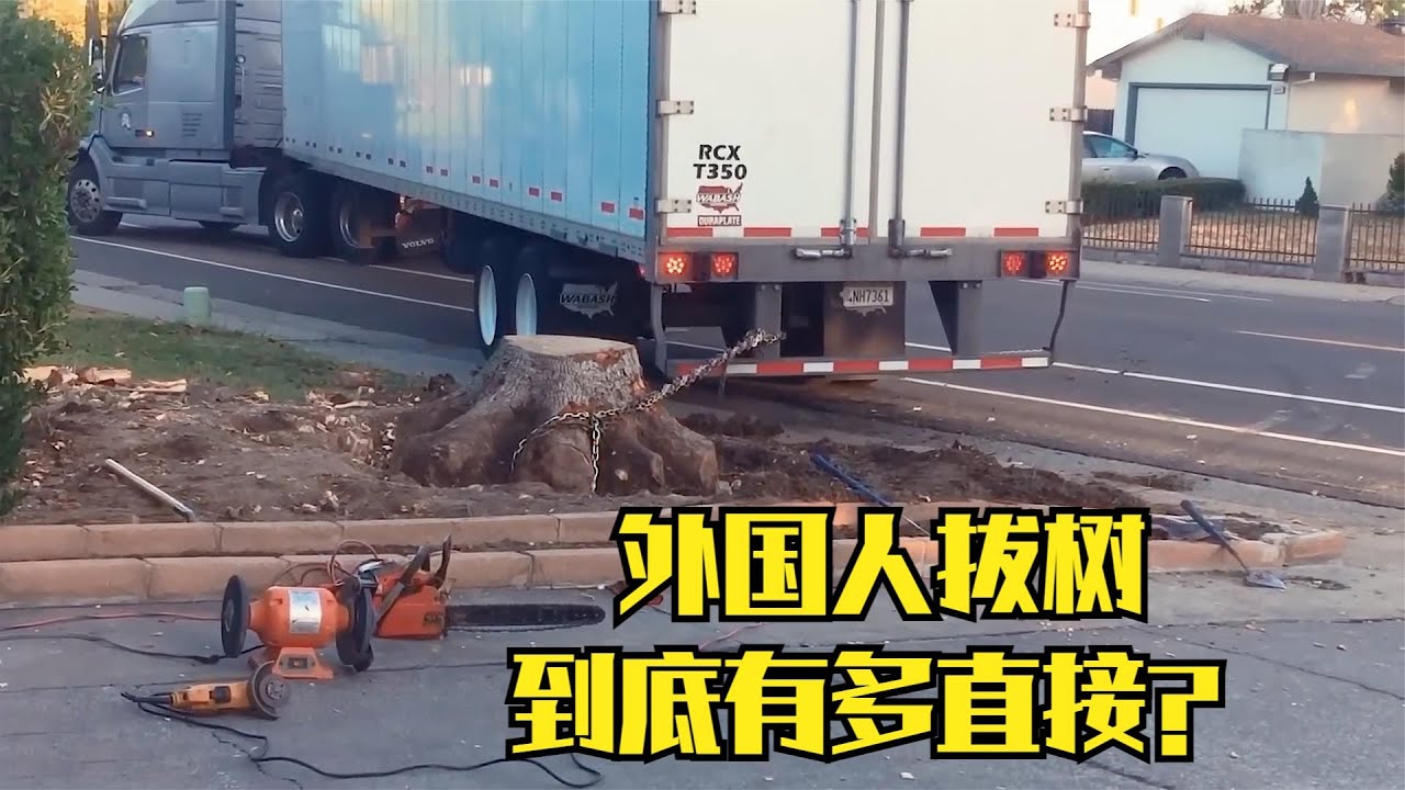 外国人拔树到底有多夸张？用沃尔沃卡车直接去拽树根！