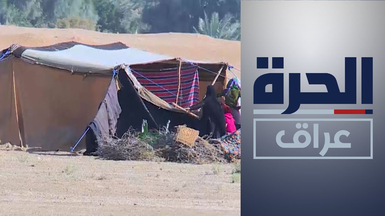 البدو ومواشيهم يبدأون رحلة البحث عن المناطق العشبية