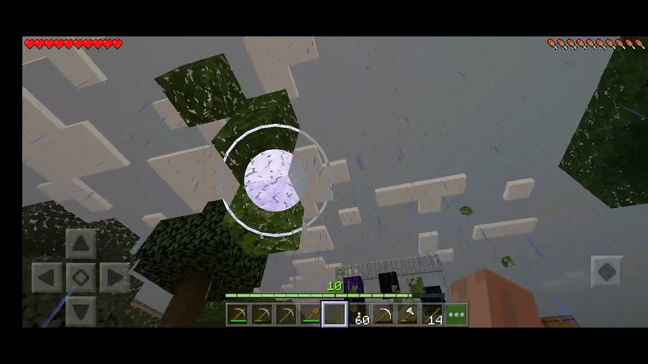 Day 12 Playing Minecraft in flat