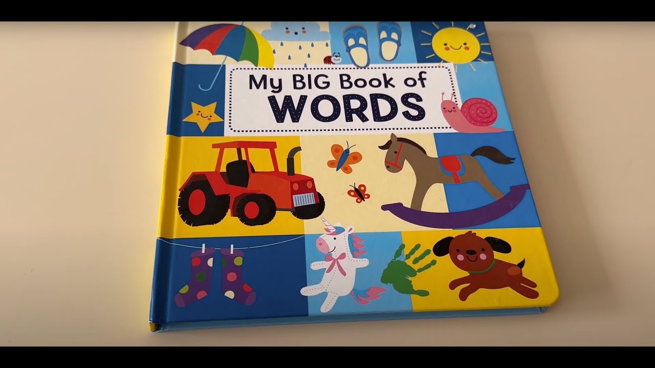 My Big Book of Words