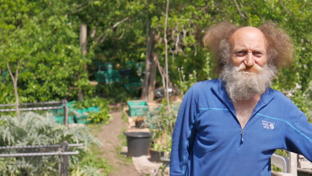 Royate Hill Community Orchard site visit with Mike Feingold