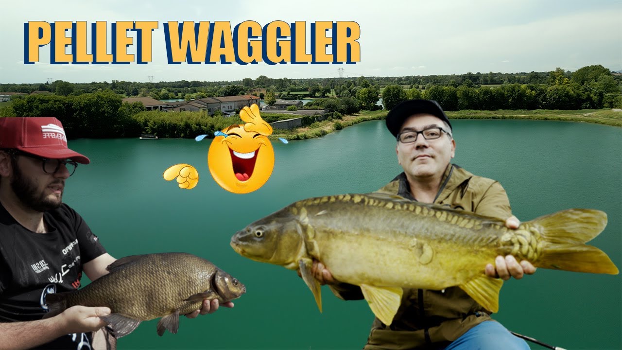Pellet Waggler, la pesca dell'estate