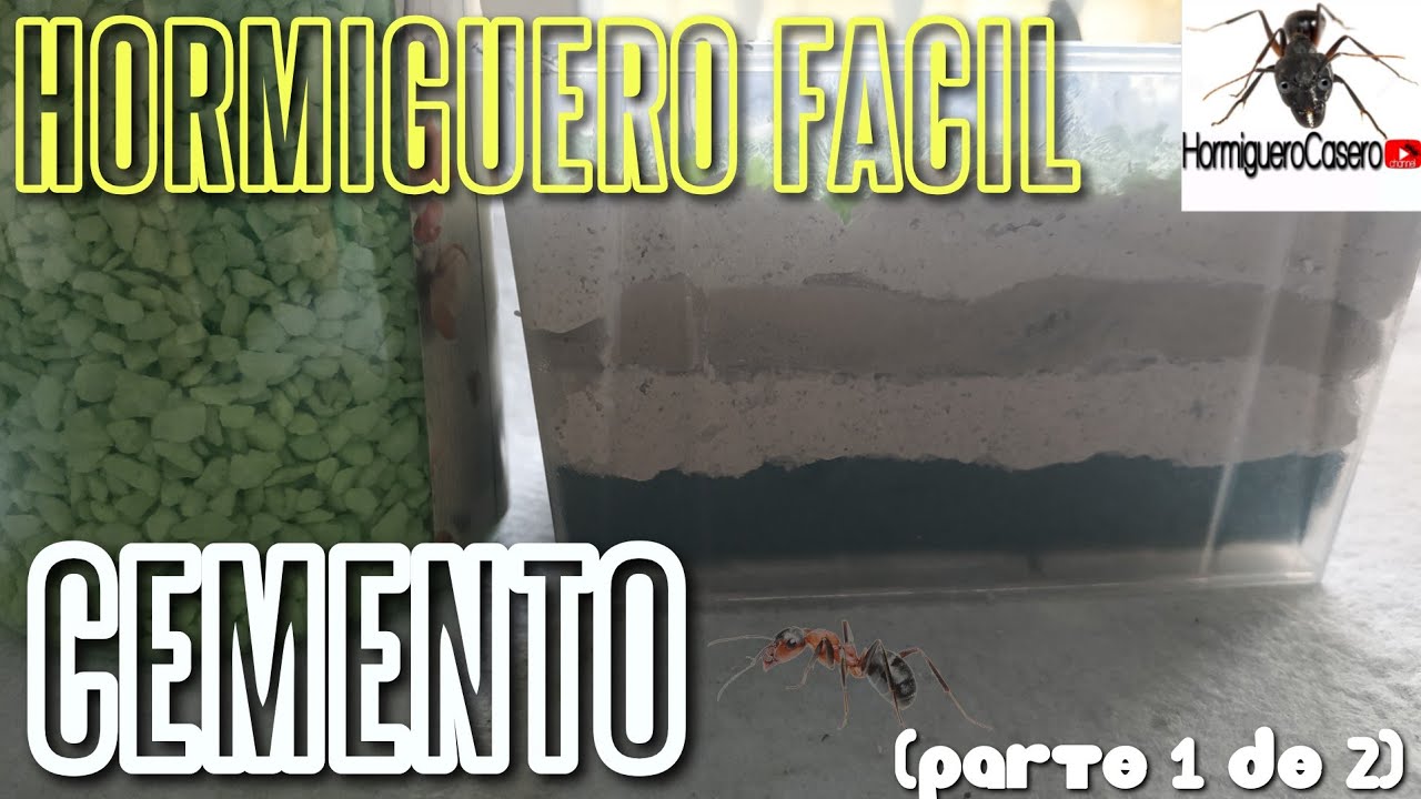 HORMIGUERO CASERO Cemento FACIL all in one Parte 1 de 2 + BLACKFRIDAY Anthouse.es