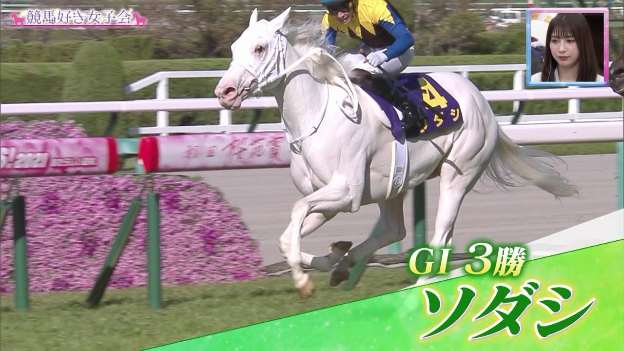 【ソダシ】1万頭に1頭といわれる奇跡の白毛馬 人気絶大のアイドルホース｜競馬好き女子会