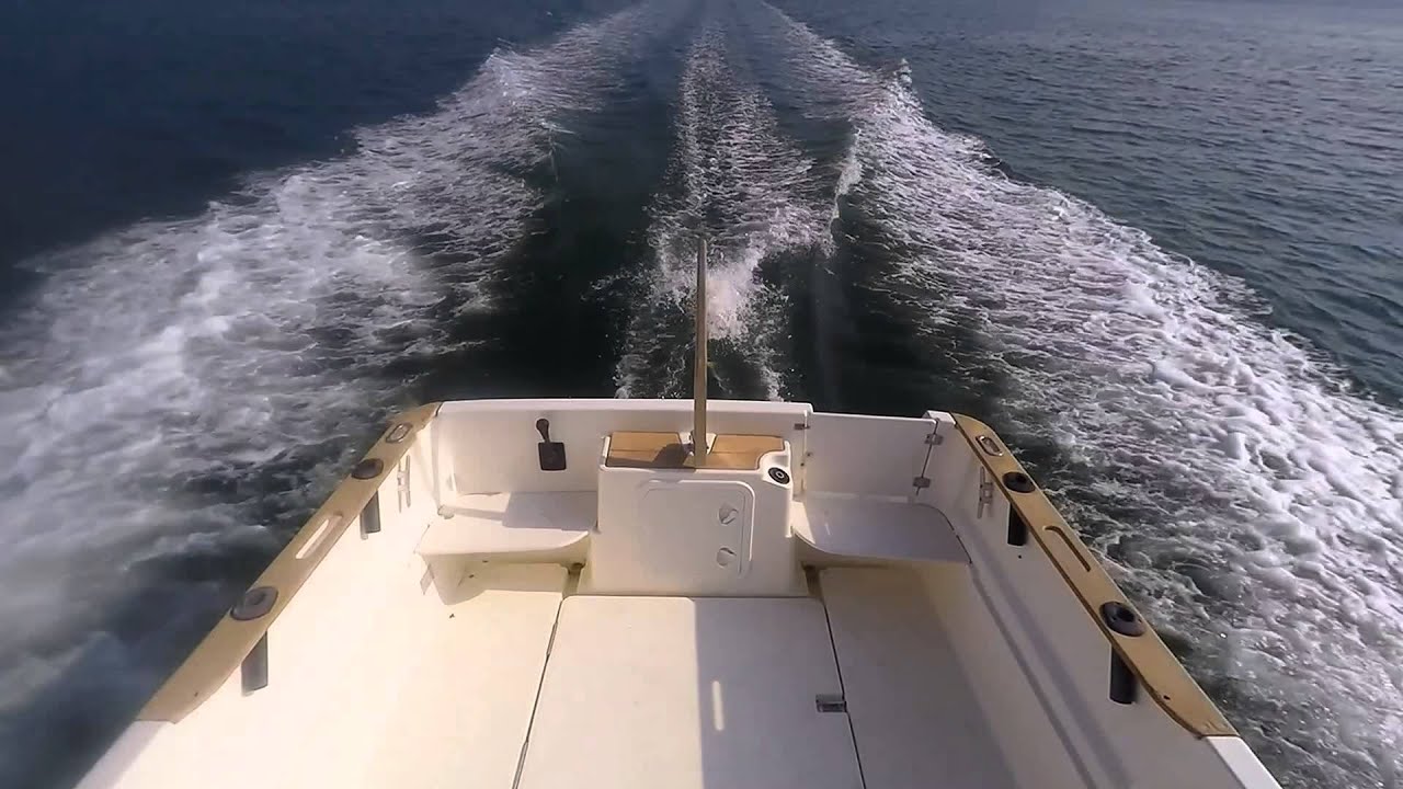 Merry Fisher 655 Marlin