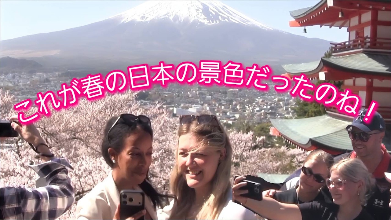これが春の日本の景色だったのね！外国人観光客が満開の桜と富士山のコラボに感動のあまり言葉を失う