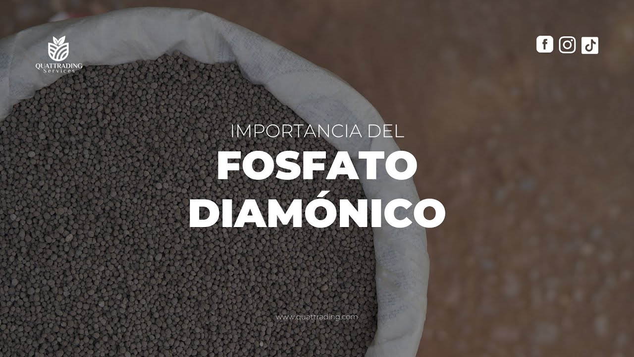 IMPORTANCIA DE EL FOSFATO DIAM&Oacute;NICO (DAP) EN LA AGRICULTURA - QUATTRADING SERVICES
