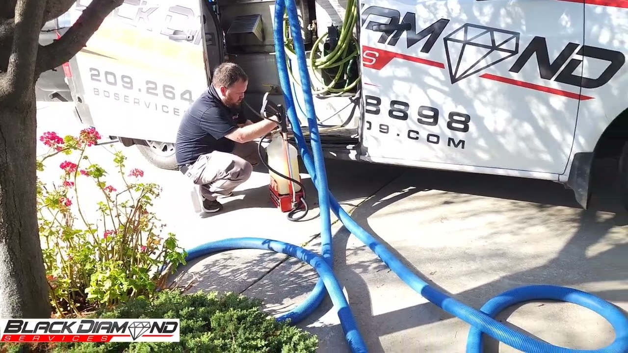 White Berber Carpet Cleaning