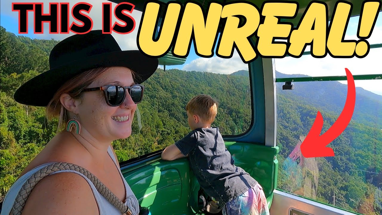 Exploring Cairns / an experience not to be missed / living in a caravan with two dogs