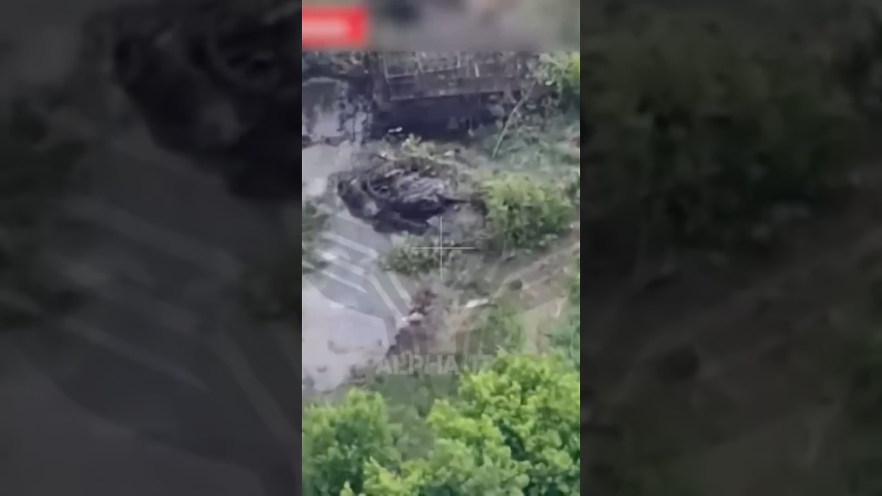 Drones attack a German ARV and a T-72. #Shorts