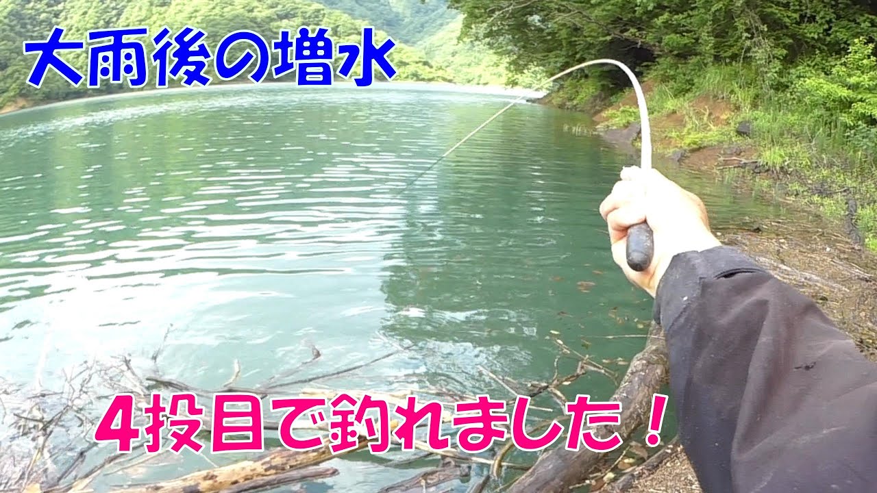 またしても通行止めでチャンスを逃すヘラ師！［九頭竜ダム編５］