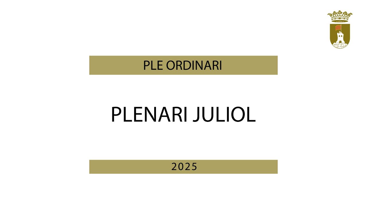 Plenari Juliol 2025