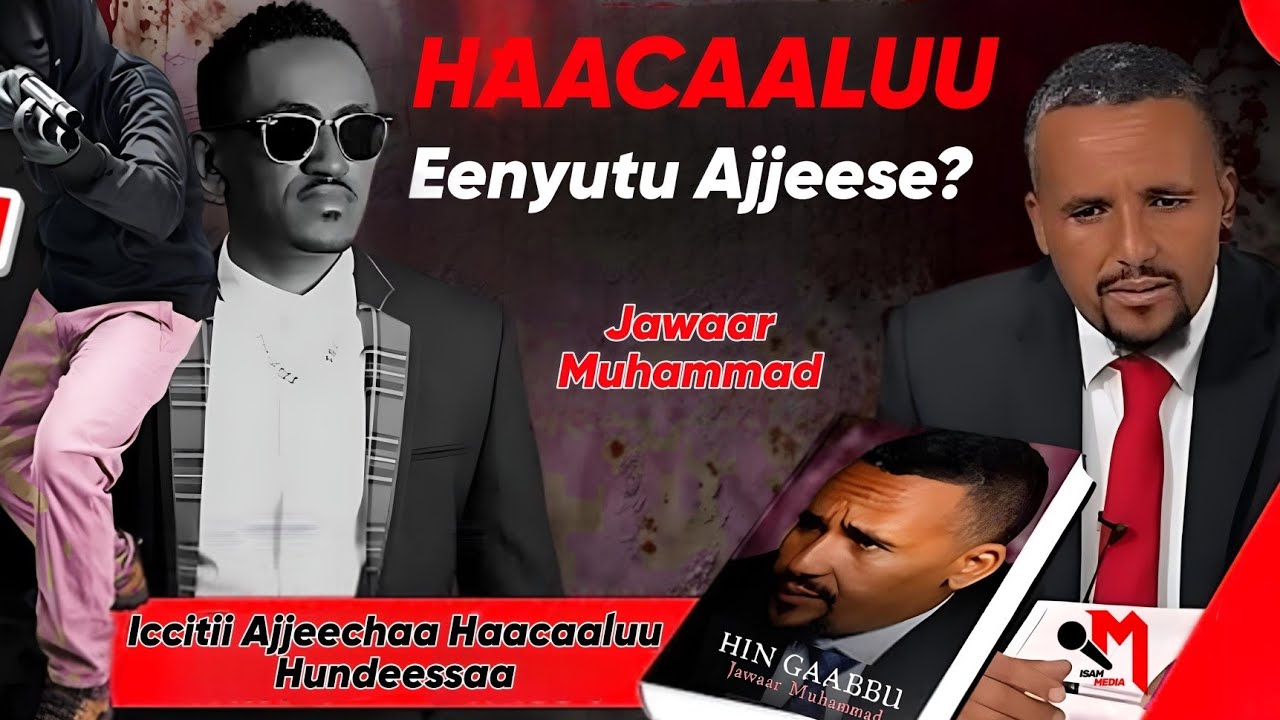 Kitaaba Hin Gaabbuu | iccitii Ajjeechaa Haacaaluu Hundeessaa