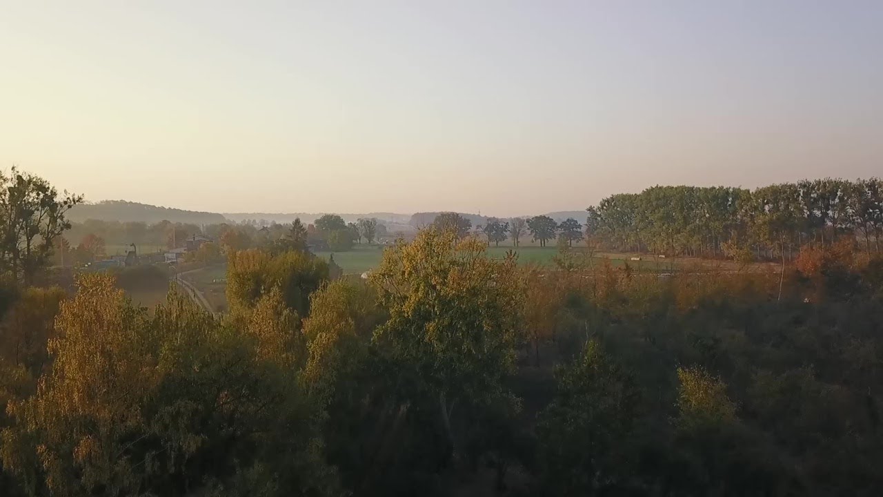 Potsdamer Sauenhain - Schweinefleisch aus Weidehaltung