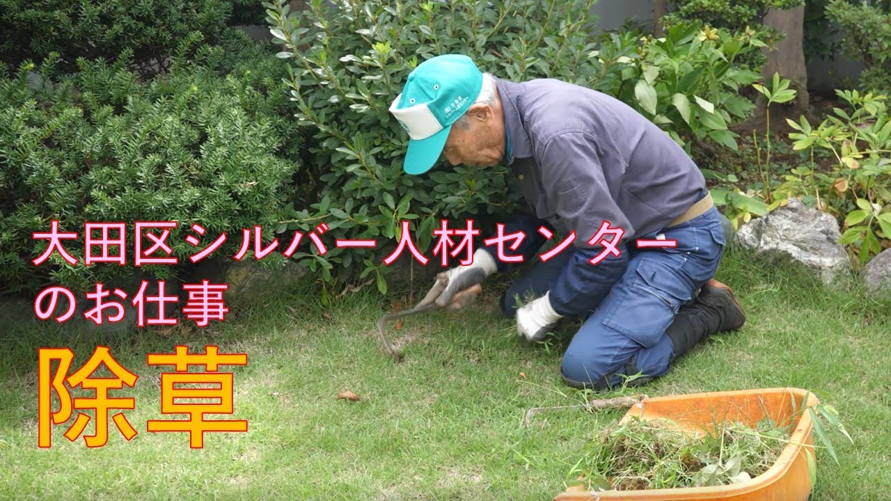 【大田区シルバー人材センター】シルバー人材センターのお仕事（第7弾：除草作業）
