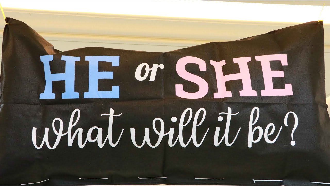 Jack Harbieh | Gender Reveal | Preparation Part #1
