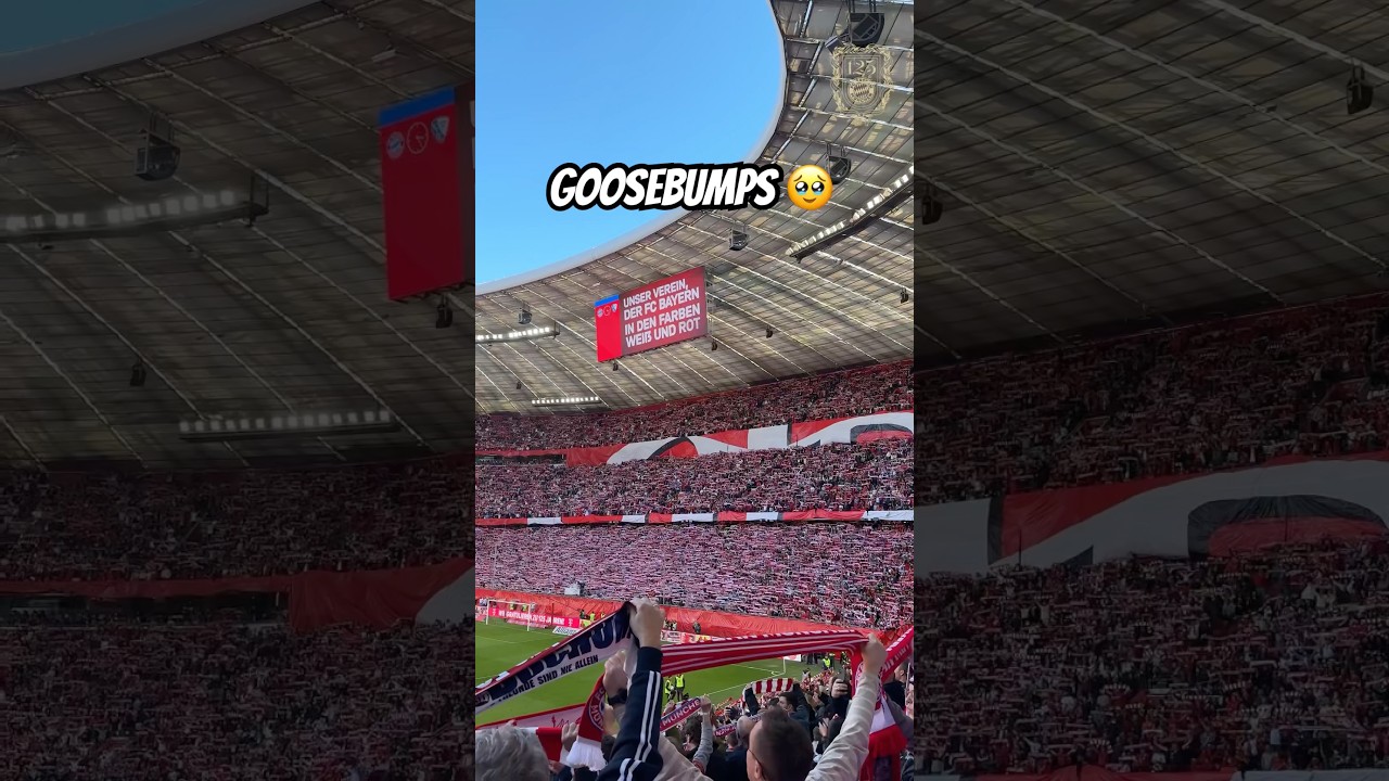 Our new stadium anthem 🥹🎶
