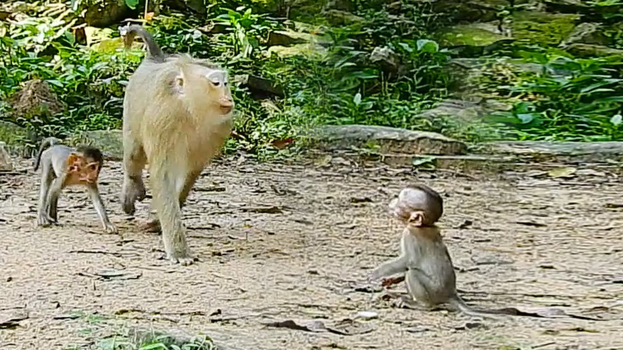 Raibow does liptalking to welcome her birth mum Rose while Brady runs to greet Libby very sweet