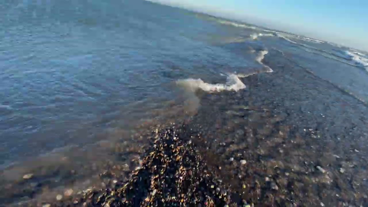 Point Pelee National Park [Dec 30th, 2024 CLIP]]