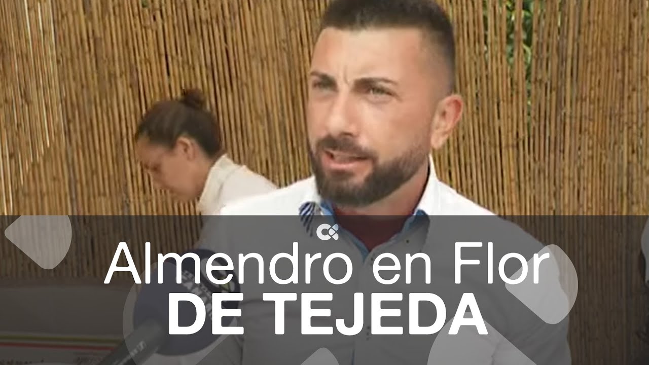 Tejeda celebra su Fiesta del Almendro en Flor