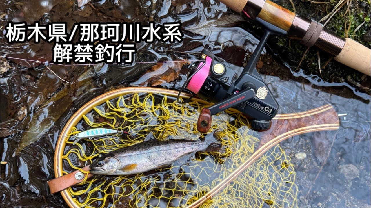 那珂川水系解禁釣行
