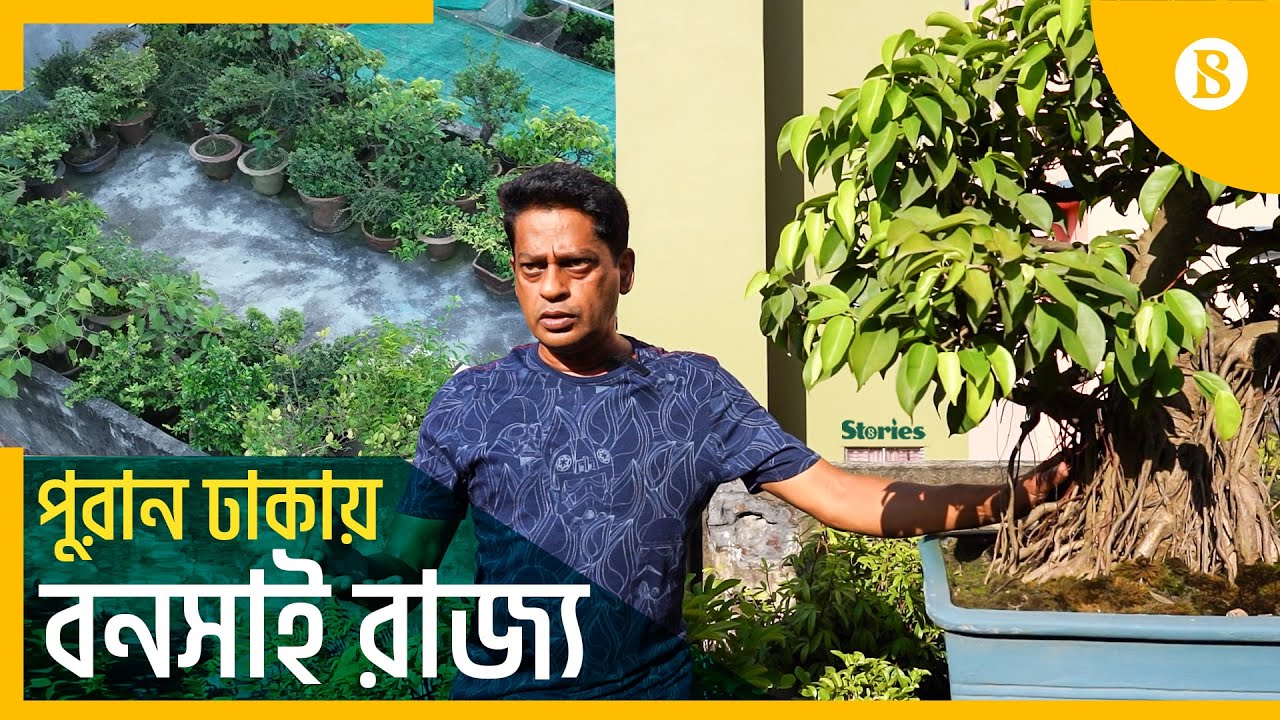 আনিসুলের সংগ্রহে প্রায় ৭৫ প্রজাতির ৫০০ গাছ : Anisul’s ‘little bonsai forest’ in old Dhaka