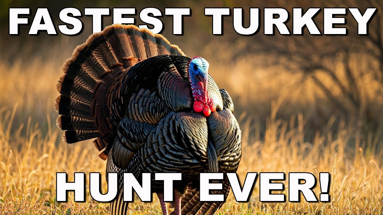 Fastest South Texas Turkey Hunt Ever!