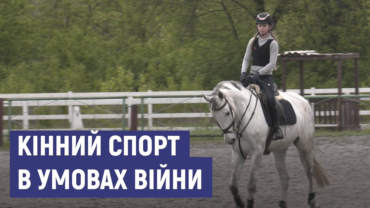 Спали у конюшнях, щоб заспокоювати коней під час вибухів. Як Сумська кінна школа пережила воєнні дії