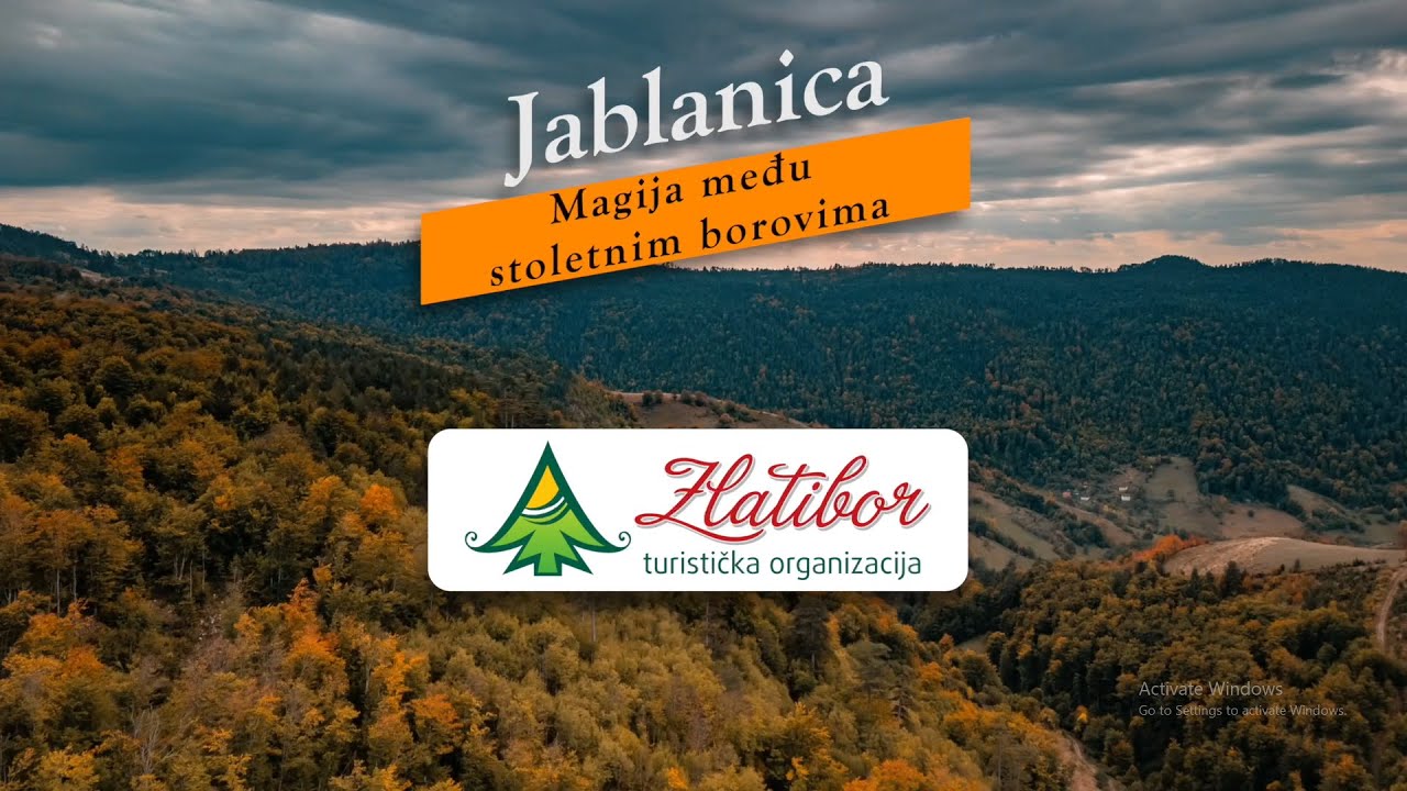 Zlatiborsko selo Jablanica – magija među stoletnim borovima