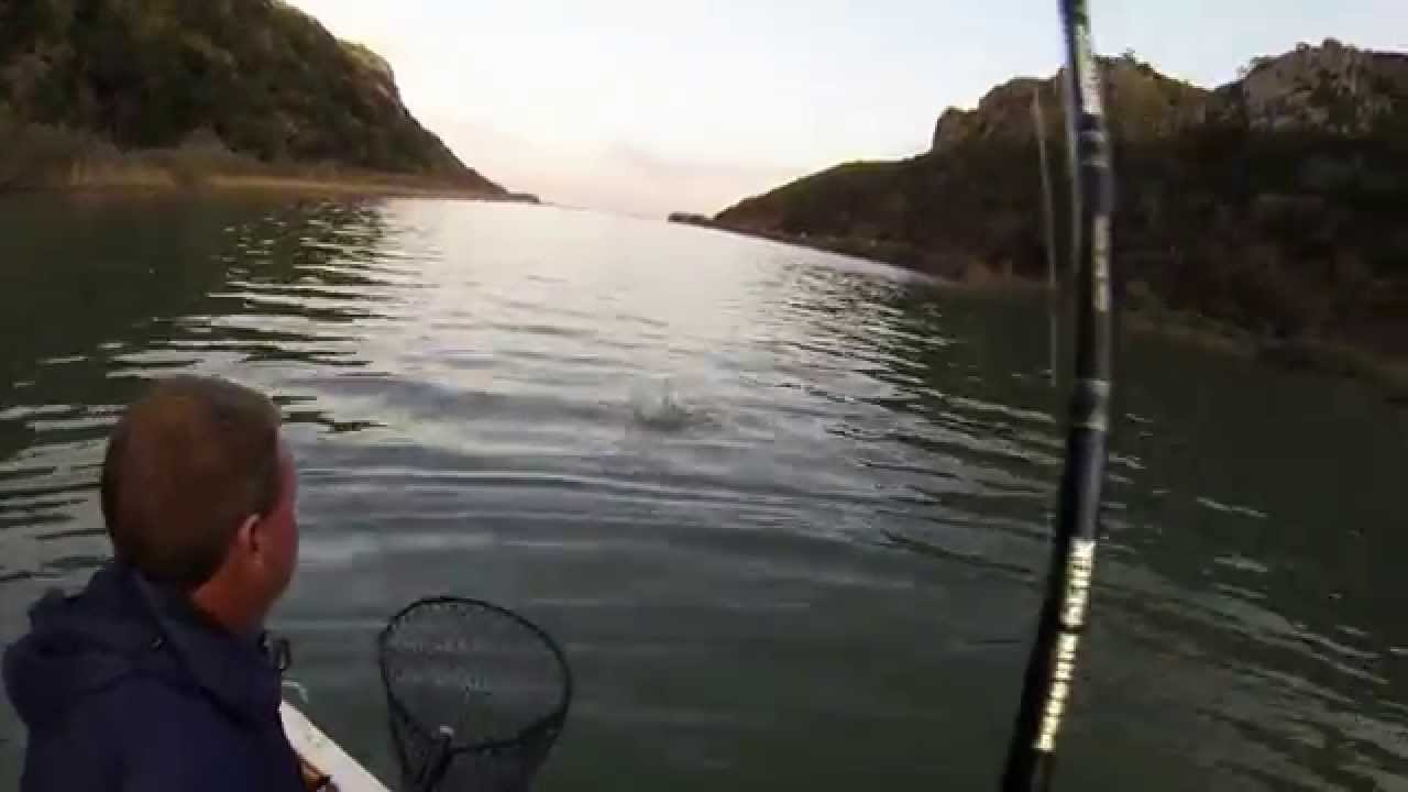 12kg Garrick (Leervis) - Transkei Fishing - South Africa