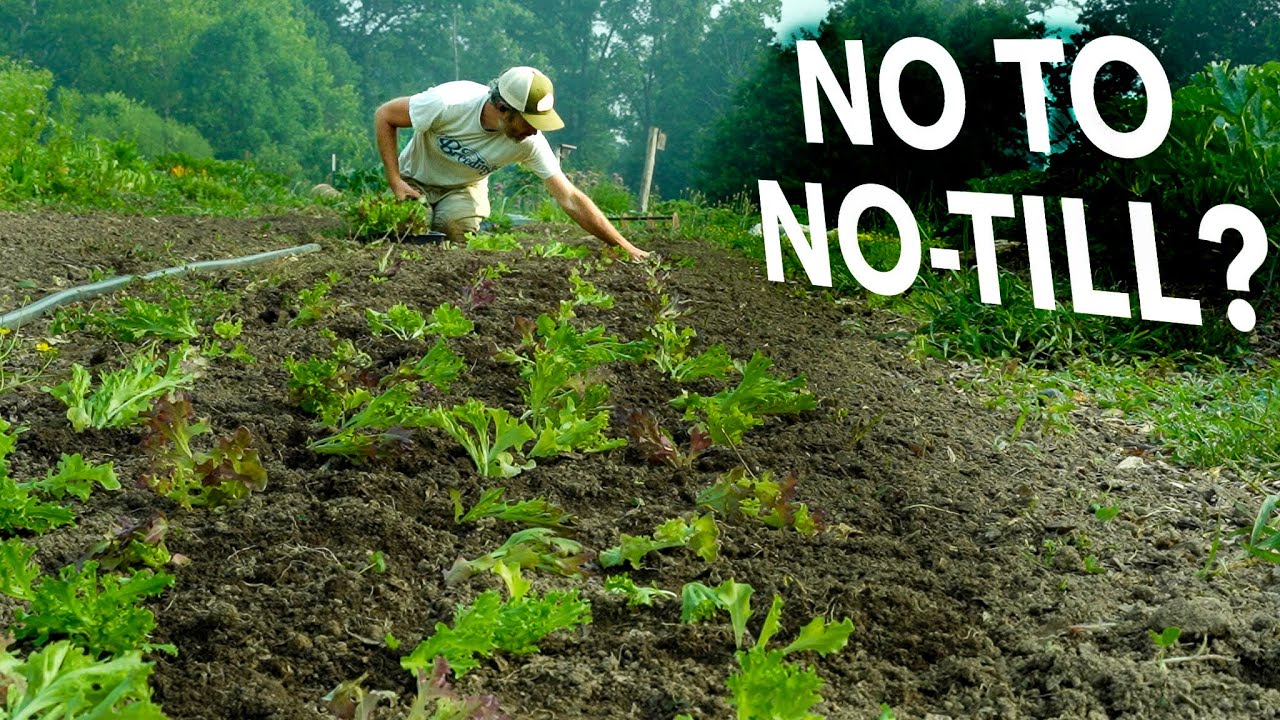 If No-Till is So Great, Why Isn't Everyone Doing it?