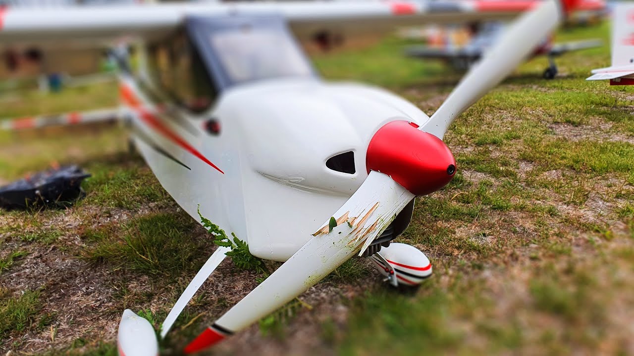 Pilot-RC Sky-Wolf. My Favourite plane and why did i crash??