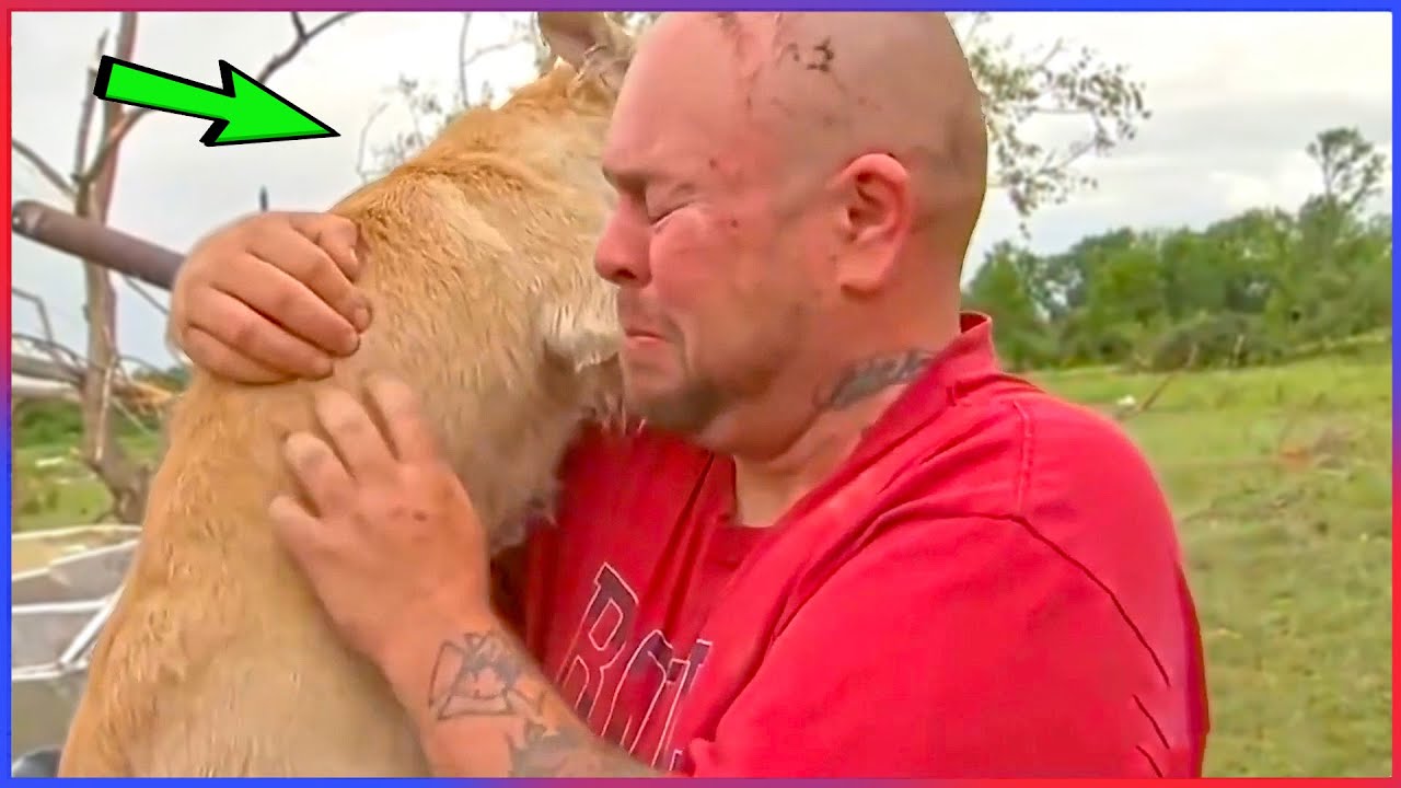 Animals Reunited With Owners After Years! 🥺