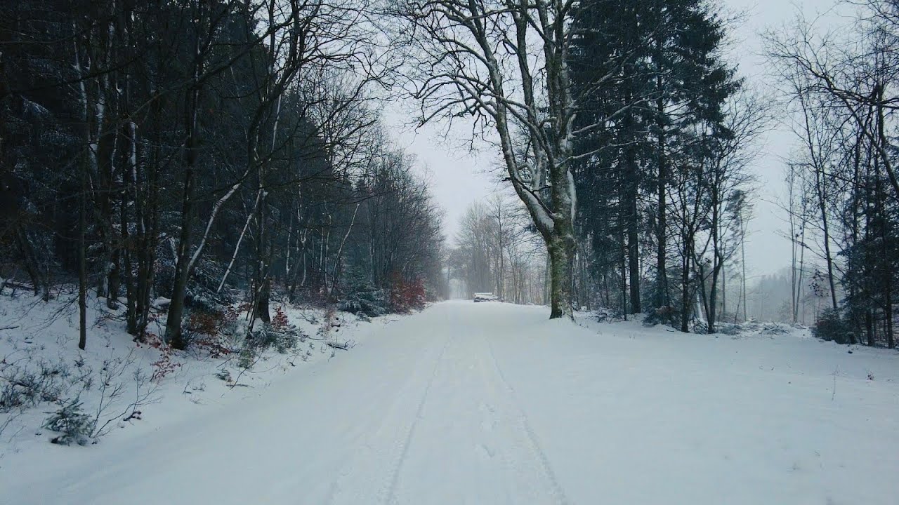 Schneespaziergang bei Braunlage im Harz 4K