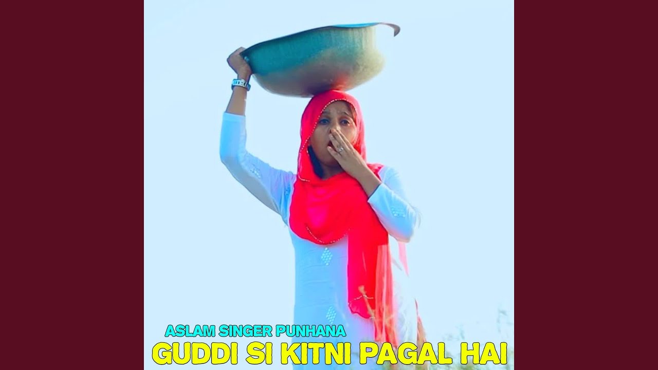 Guddi Si Kitni Pagal Hai