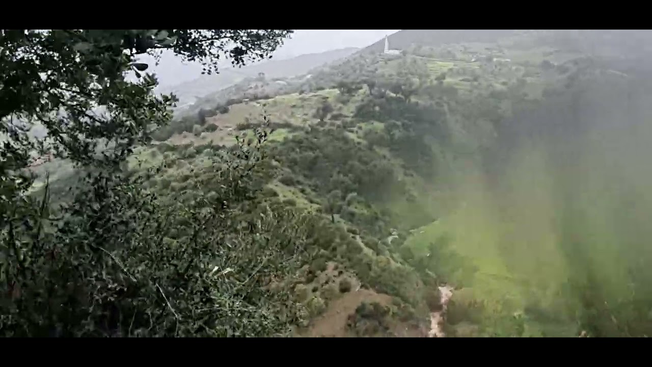 امطار الخير🌧⛰️🌱🌿🌿💚