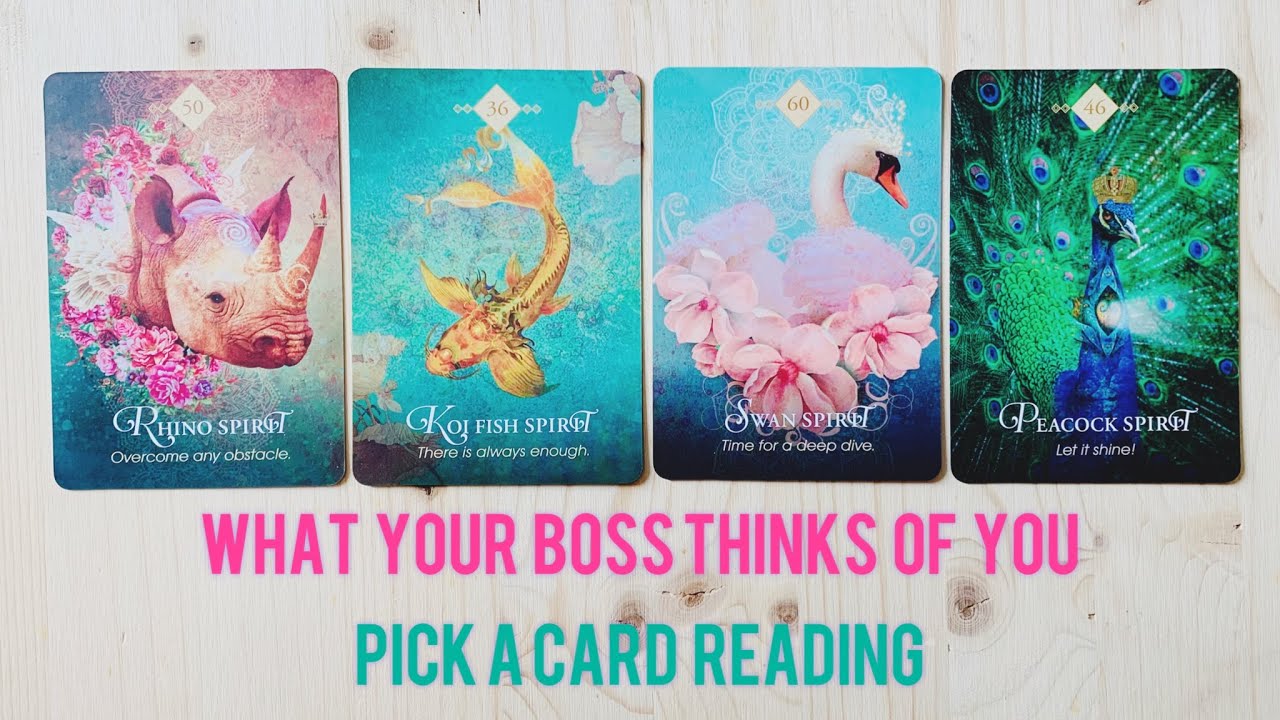 😵💙What your boss thinks of you - pick a card reading #personality #pickacard #boss #tarotreading