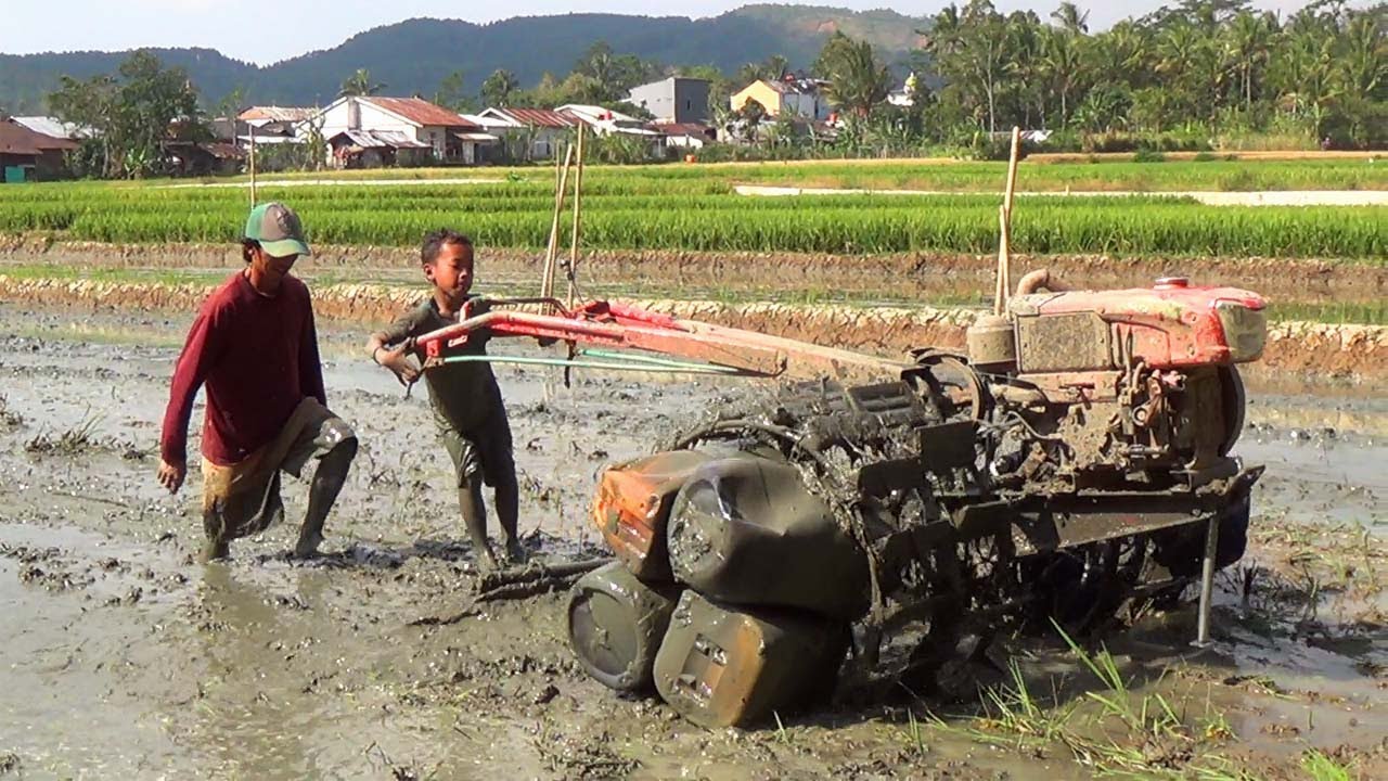 Dua..!! Traktor Sawah G1000 Dengan Diesel Kubota Kerja Bareng