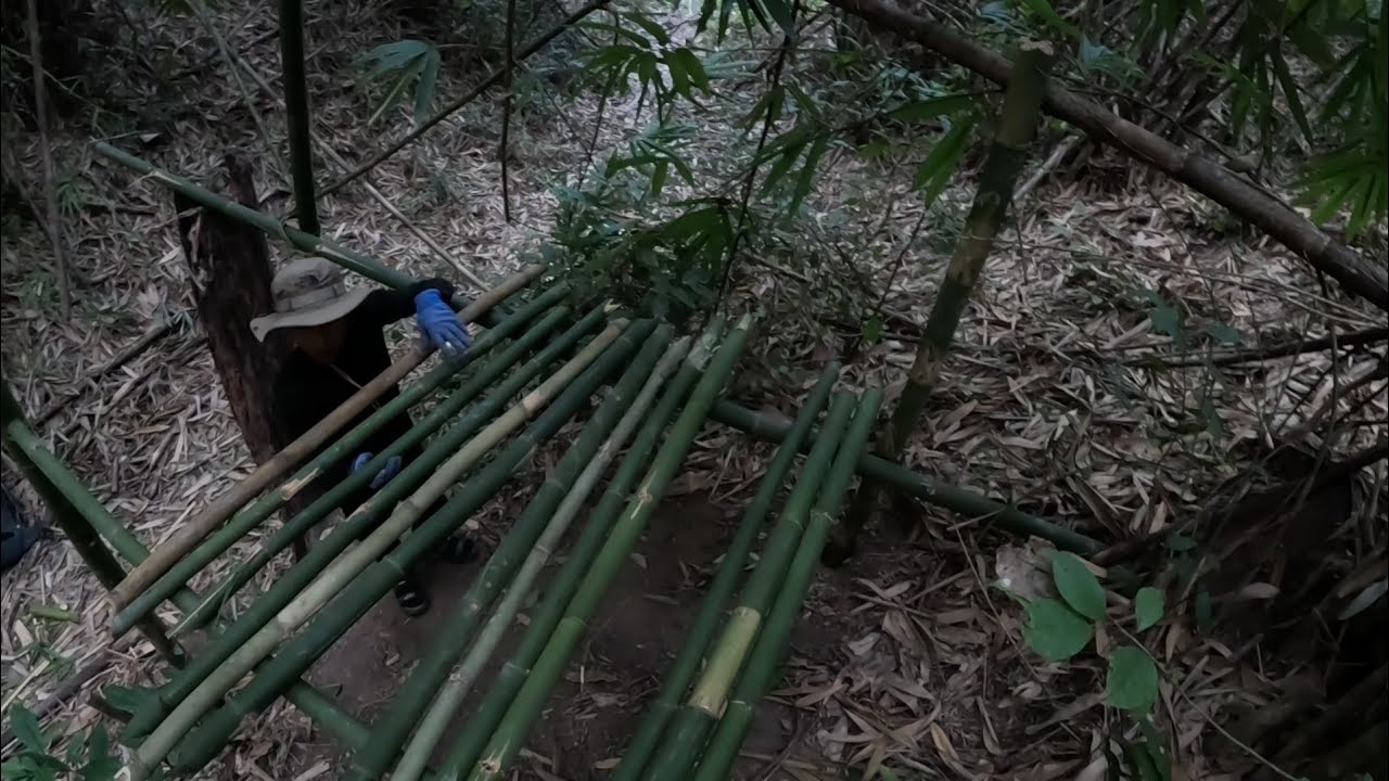 EP.479 สร้างบ้านใหม่หลังเล็กๆในป่าไผ่คนเดียว เอาไว้อยู่นอนพักฟังเสียงสัตว์ป่าร้อง