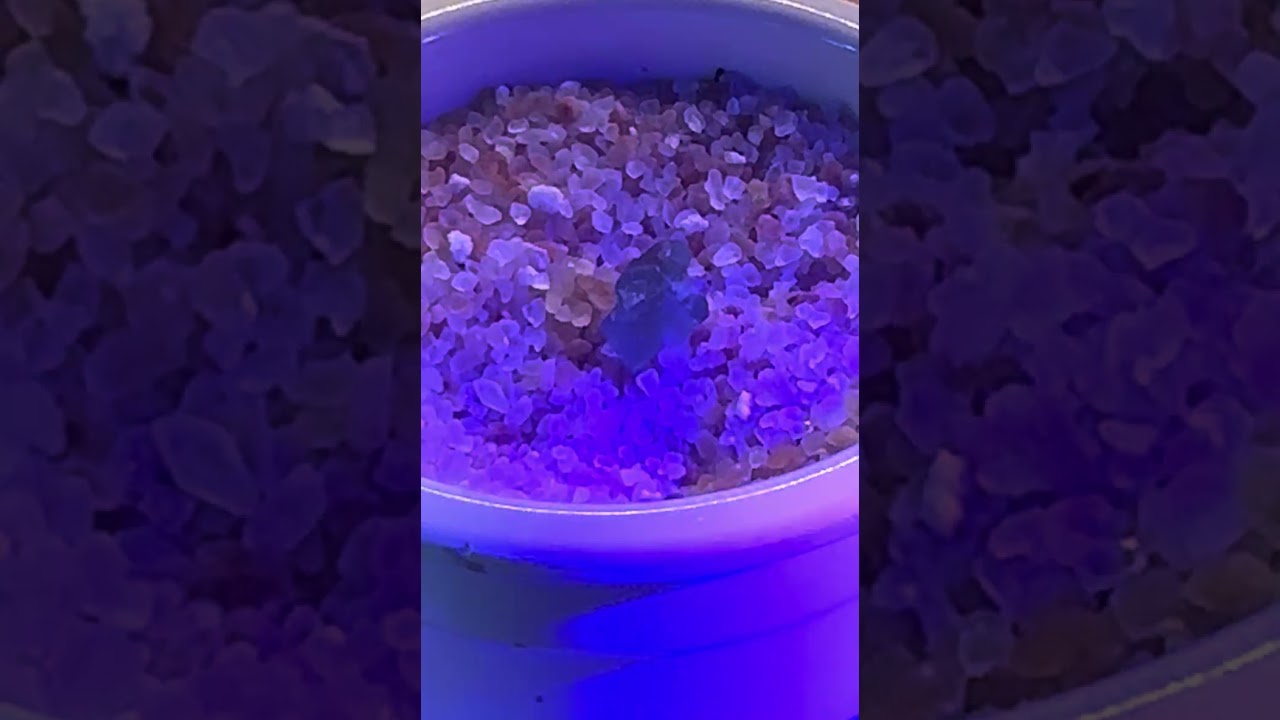 The gifts of English fluorite