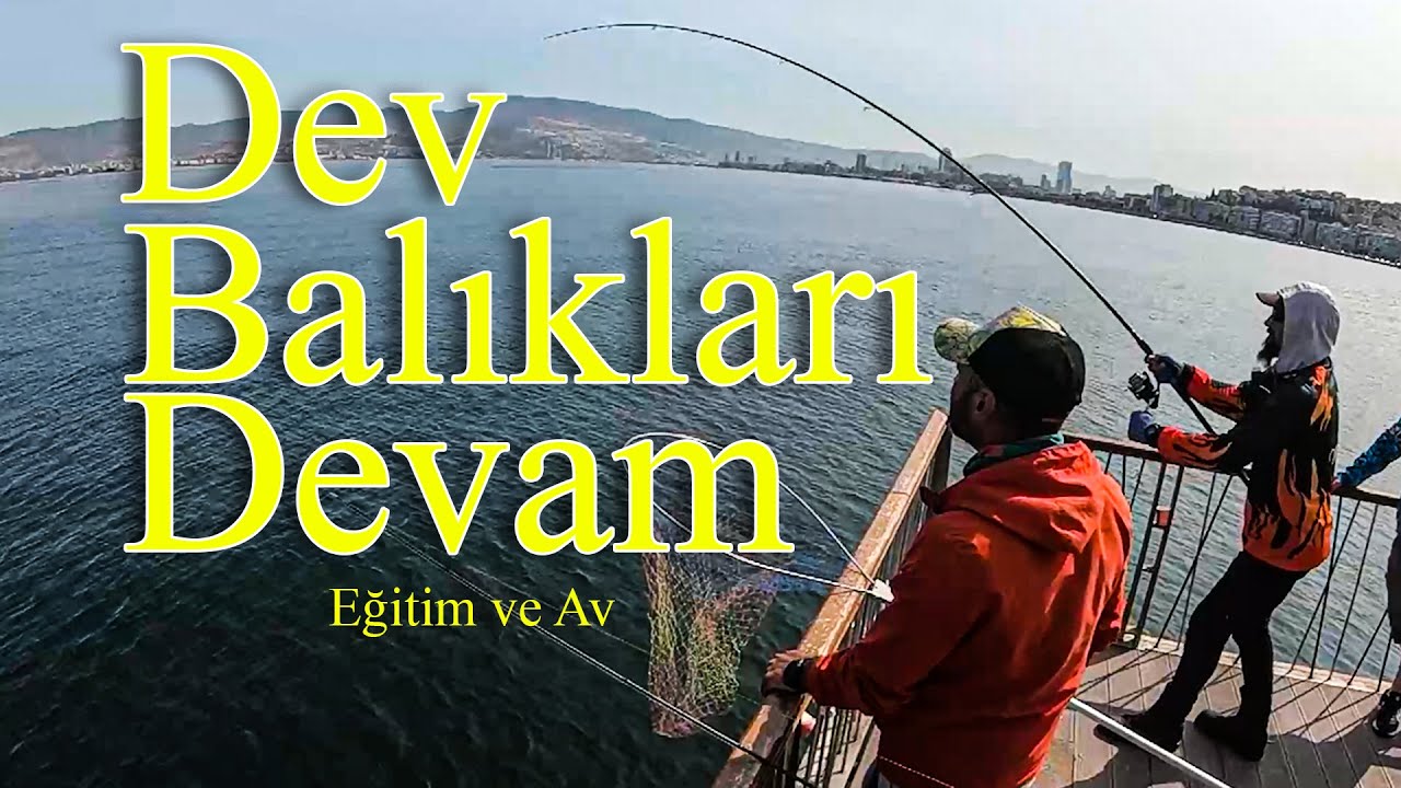 #Dev #balıkları #devam