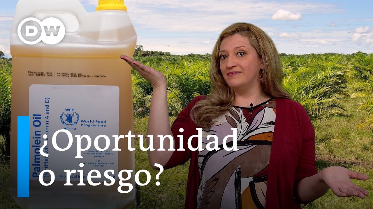 Aceite de palma, polémico pero lucrativo para Latinoamérica