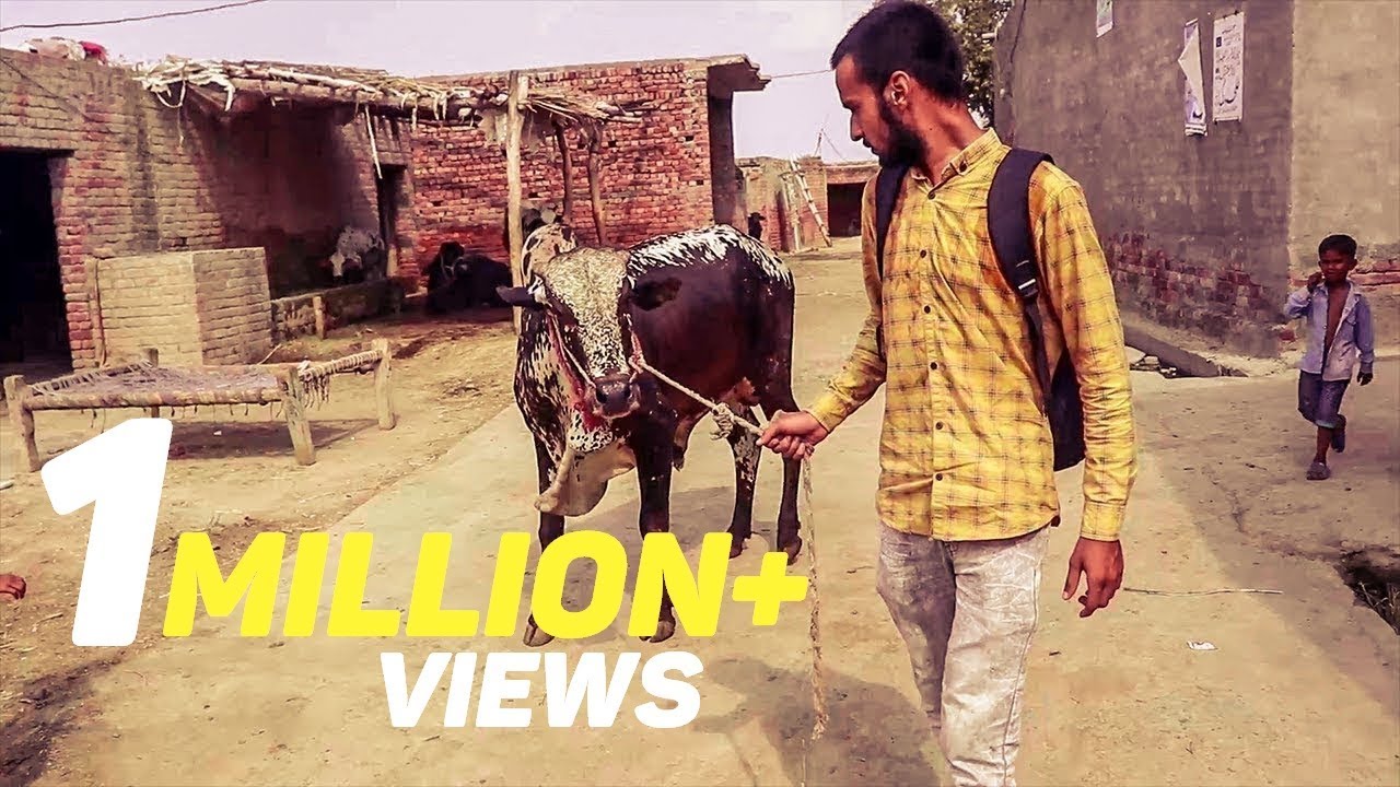 Bachra Bhag Gya | Bakra Eid 2019 Vlog