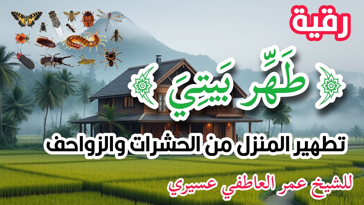رقية:(طهر بيتي)اللهم طهرهم و طهر بيتهم من الحشرات و الزواحف|عمر العاطفي