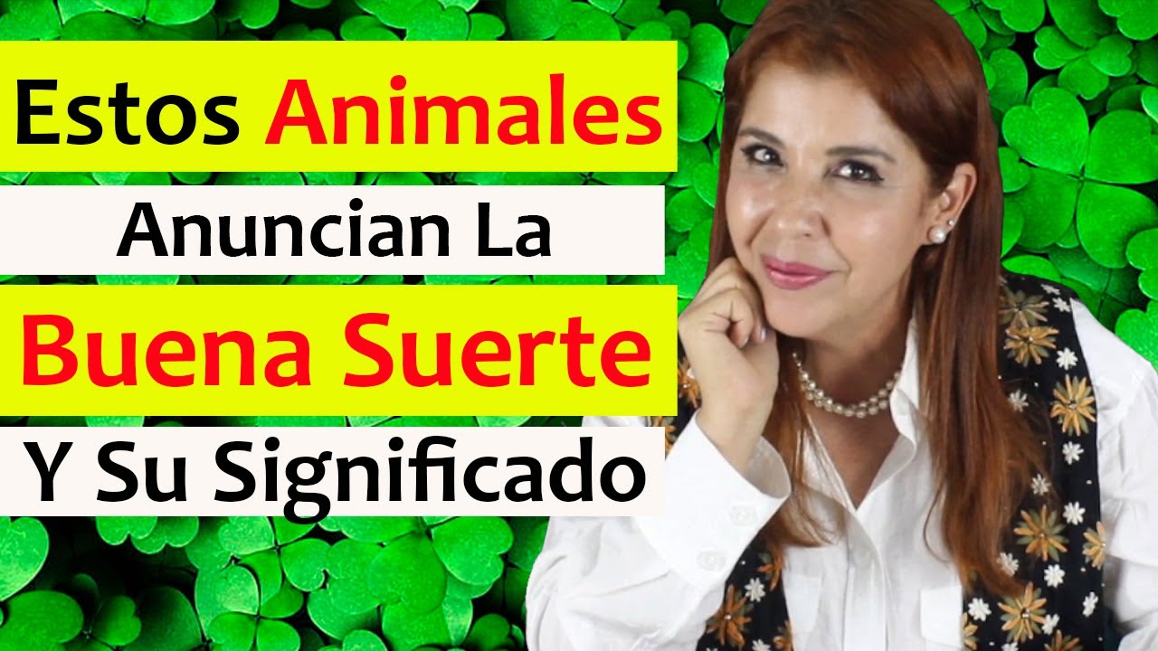 🤞 10 ANIMALES que ANUNCIAN la BUENA SUERTE y su SIGNIFICADO: CATARINA, RANA, COLIBRÍ, PERRO, GATO 🍀