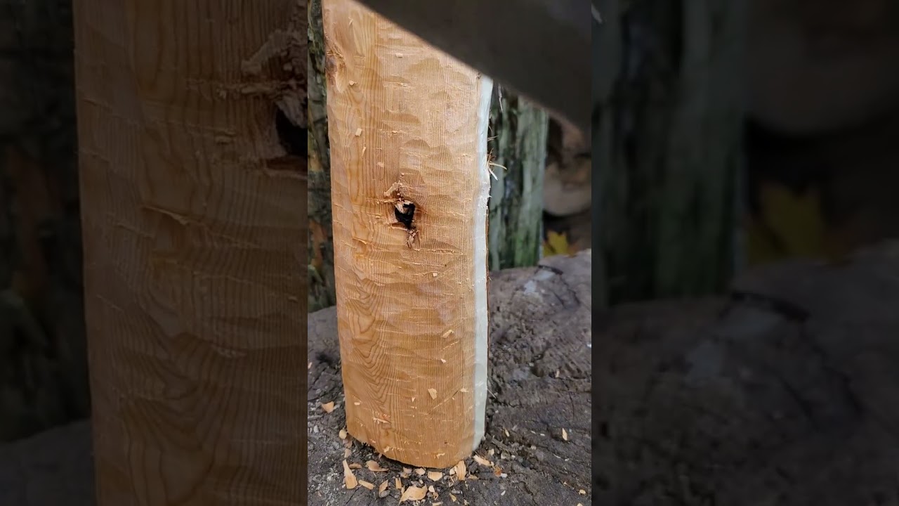 Yew bow start to a French war bow