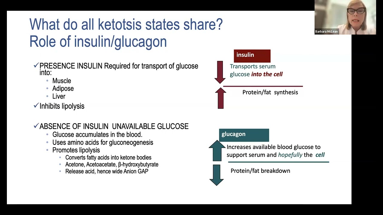 Ketosis not always hyperglycemia