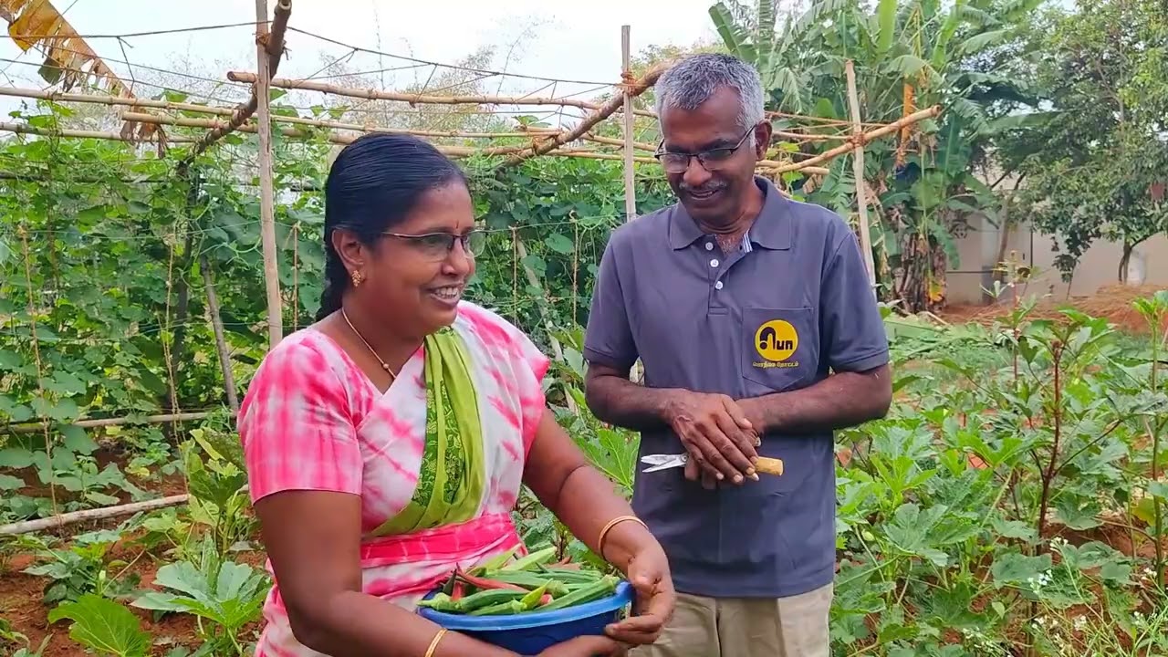🍅🐍கொட்டார பந்தல் Aruvadai | Harvest Vlogs #farming #comedy